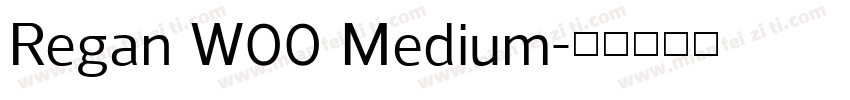 Regan W00 Medium字体转换
